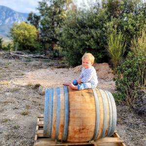 IMG-20230902-WA00024_original