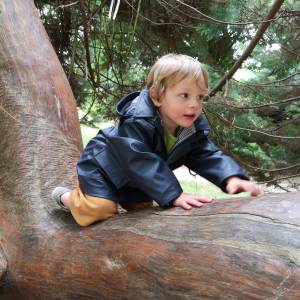 IMG_20210623_144910_1_original_copy_1