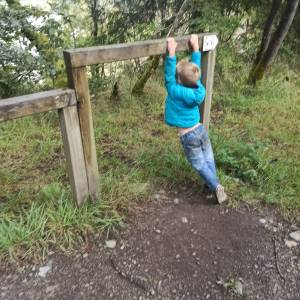 IMG_20230923_114359_original_copy_1