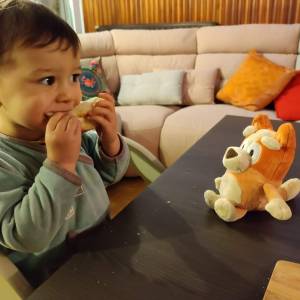 IMG_20231118_170416_original_copy_1