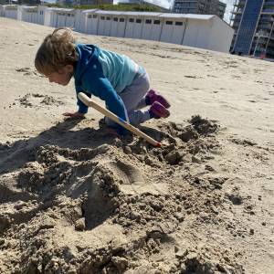 IMG_2983_original_copy_1