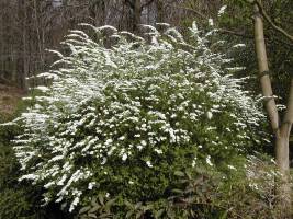 DSCN0507_-_Copie_original